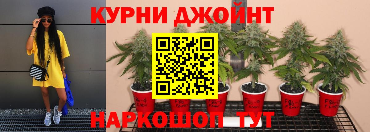 Бошки Шишки LSD WEED Семилуки